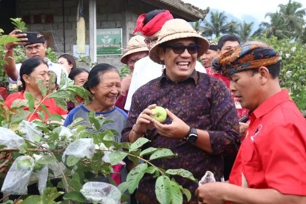 Bungan Desa Ke-52 Di Desa Payangan